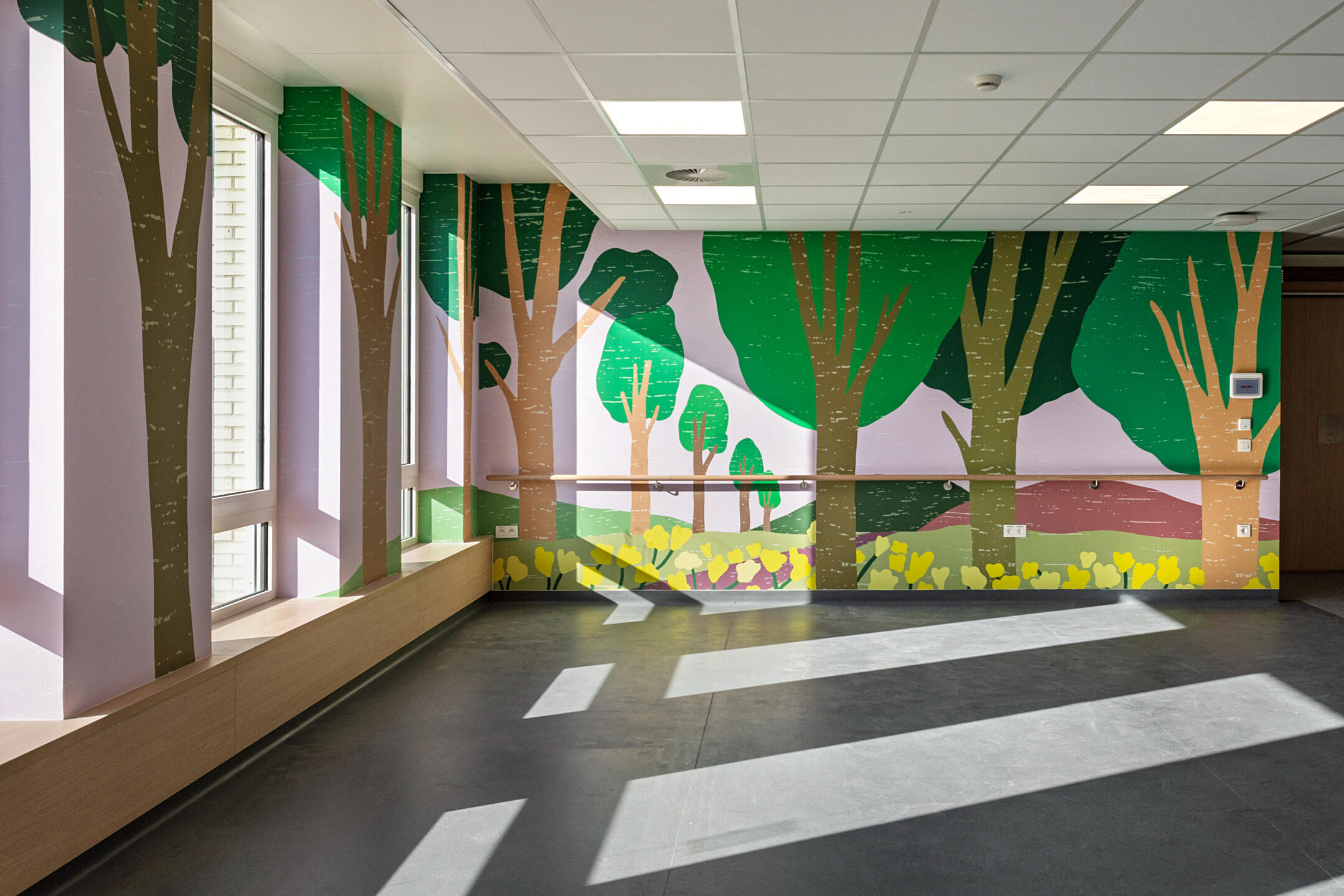 Revalidation - Jana Vasiljević